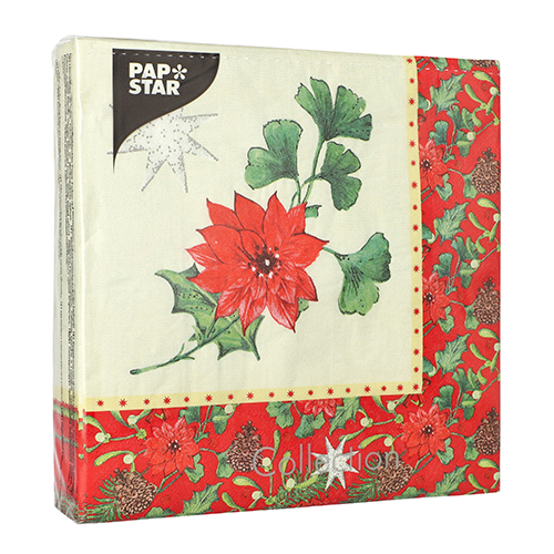 400 Servietten, 3-lagig 1/4-Falz 40 cm x 40 cm "Winterly" 14000 Servietten, 3-lagig 1/4-Falz 40 cm x 40 cm "Winterly"