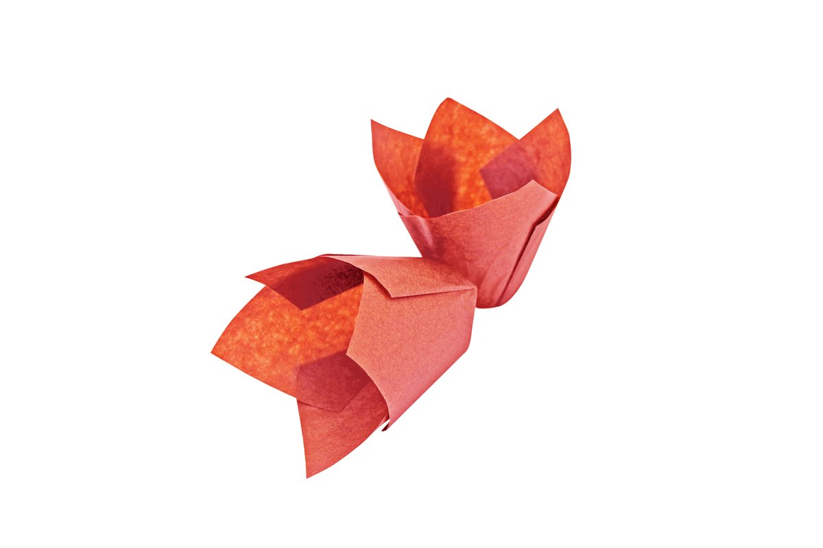 Muffinform Tulpe, rot
