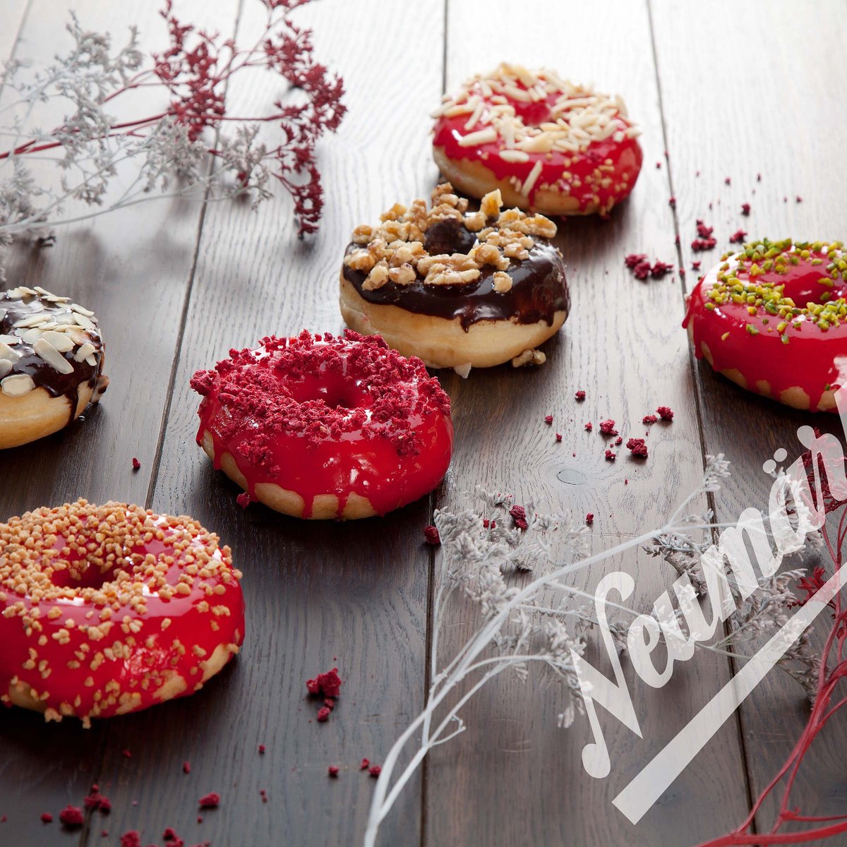 Dony Donut Wechselplatten für Thermocook®