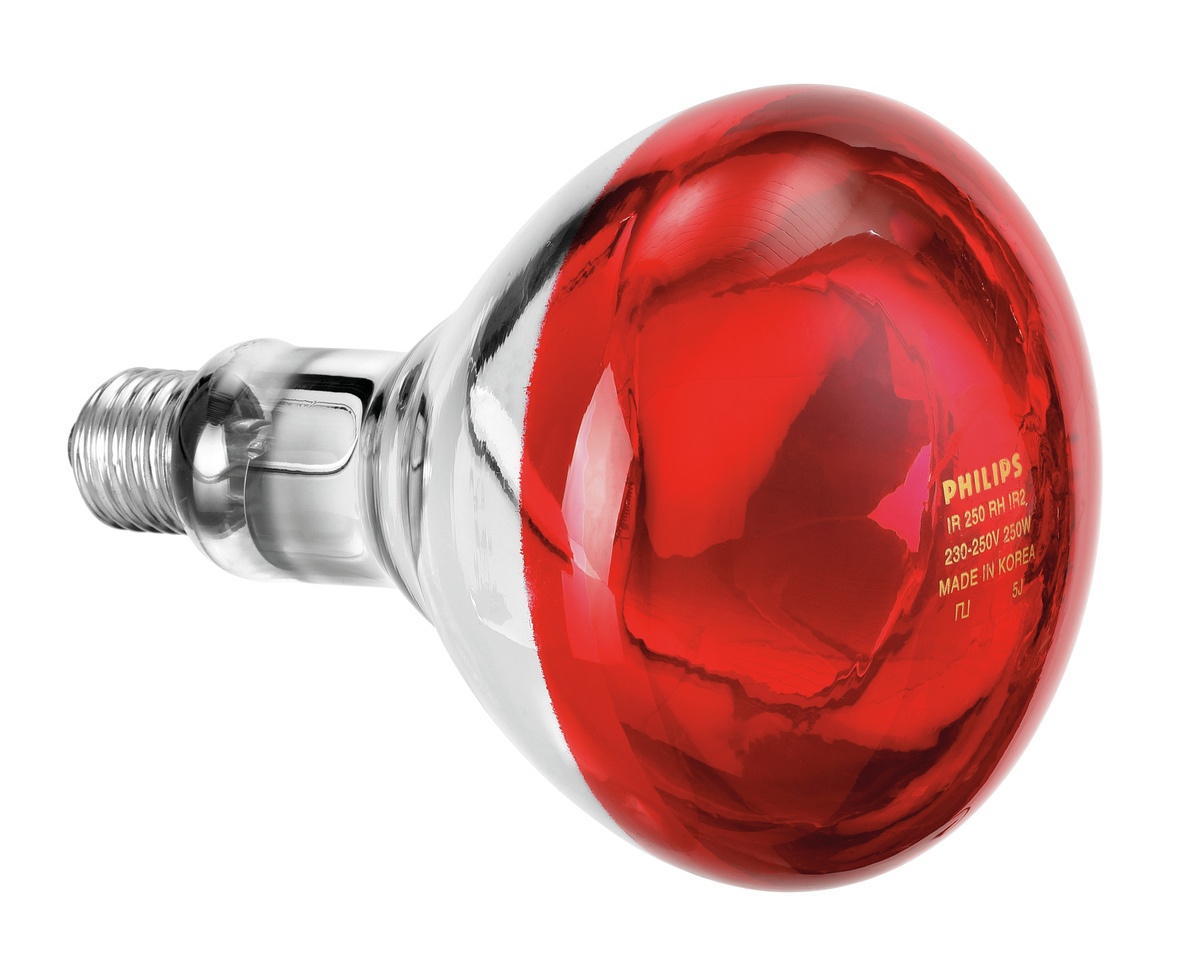 Infrarotlampe IWL250D Infrarotlampe IWL250D