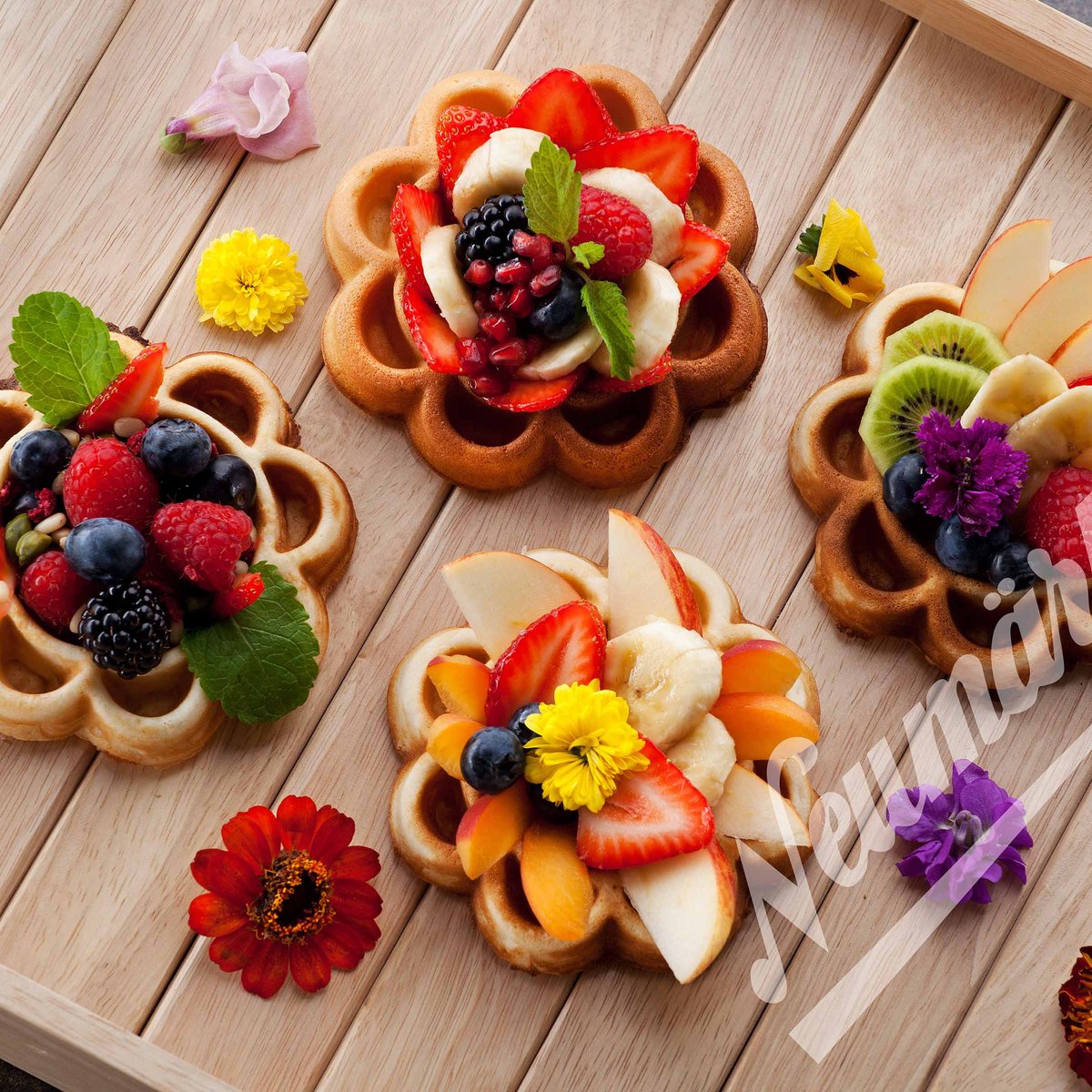 Waffeltörtchen Wechselplatten für Thermocook®