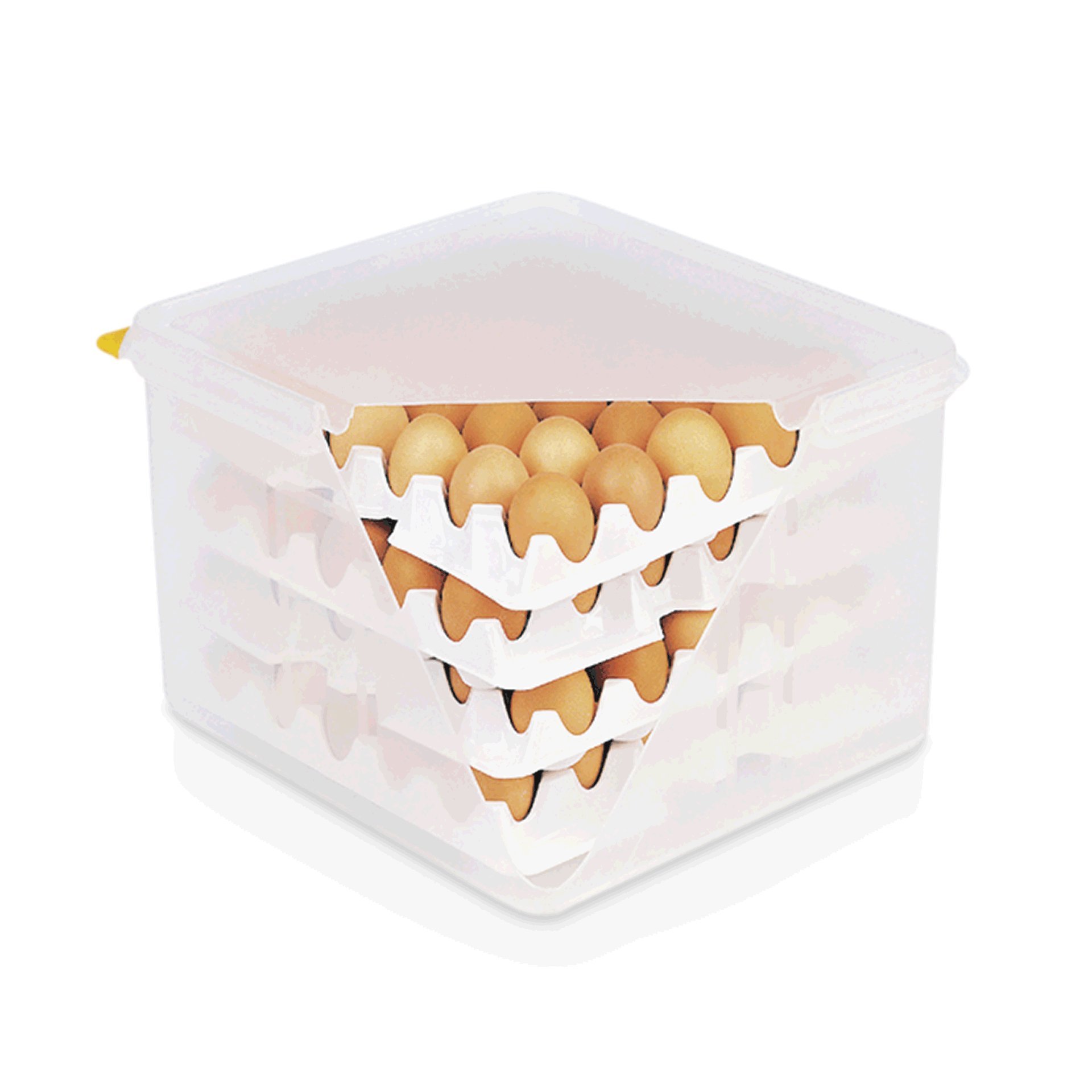 HACCP Eierbox 35,4 x 32,5 x 20 cm