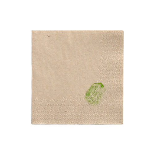48000 Servietten, 2-lagig 1/4-Falz 24 cm x 24 cm natur ungebleicht