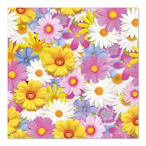 20 Servietten, 3-lagig 1/4-Falz 33 cm x 33 cm "Daisies Mix" 22800 Servietten, 3-lagig 1/4-Falz 33 cm x 33 cm "Daisies Mix"