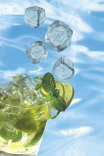 480 Eiskugelbeutel mit Selbstverschluss und Easy release