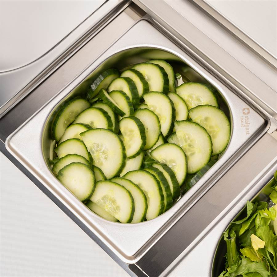 Saladette, 2-türig GN 1/1, Aufnahme 10x GN 1/4, ohne Aufkantung