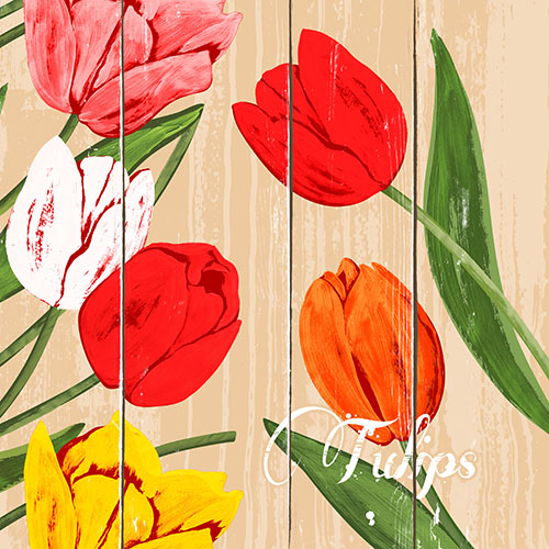 50 Servietten, 3-lagig 1/4-Falz 40 cm x 40 cm "Blooming Tulips" 14000 Servietten, 3-lagig 1/4-Falz 40 cm x 40 cm "Blooming Tulips"