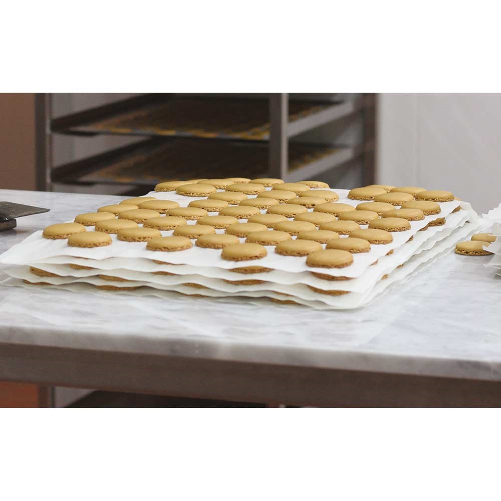 Beschichtetes Backpapier, Zuschnitte je 530x325 mm, 500 Stück, weiß