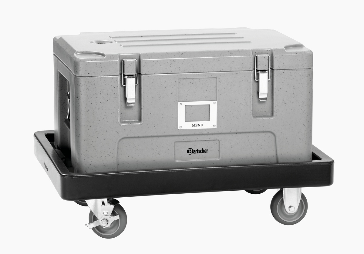 Transportwagen TBGN110