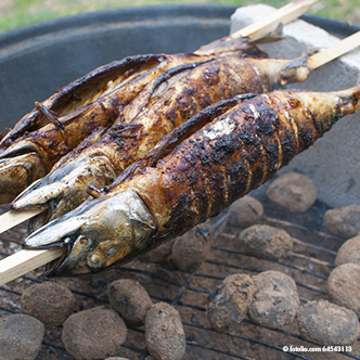200 Grill-Spieße "pure" 80 cm x 8 mm x 8 mm "Steckerlfisch" 8400 Grill-Spieße "pure" 80 cm x 8 mm x 8 mm "Steckerlfisch"