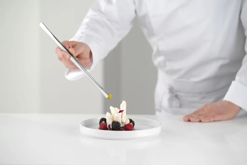 Pinzette, runder Kopf, (L)305mm Pinzette, runder Kopf, (L)305mm