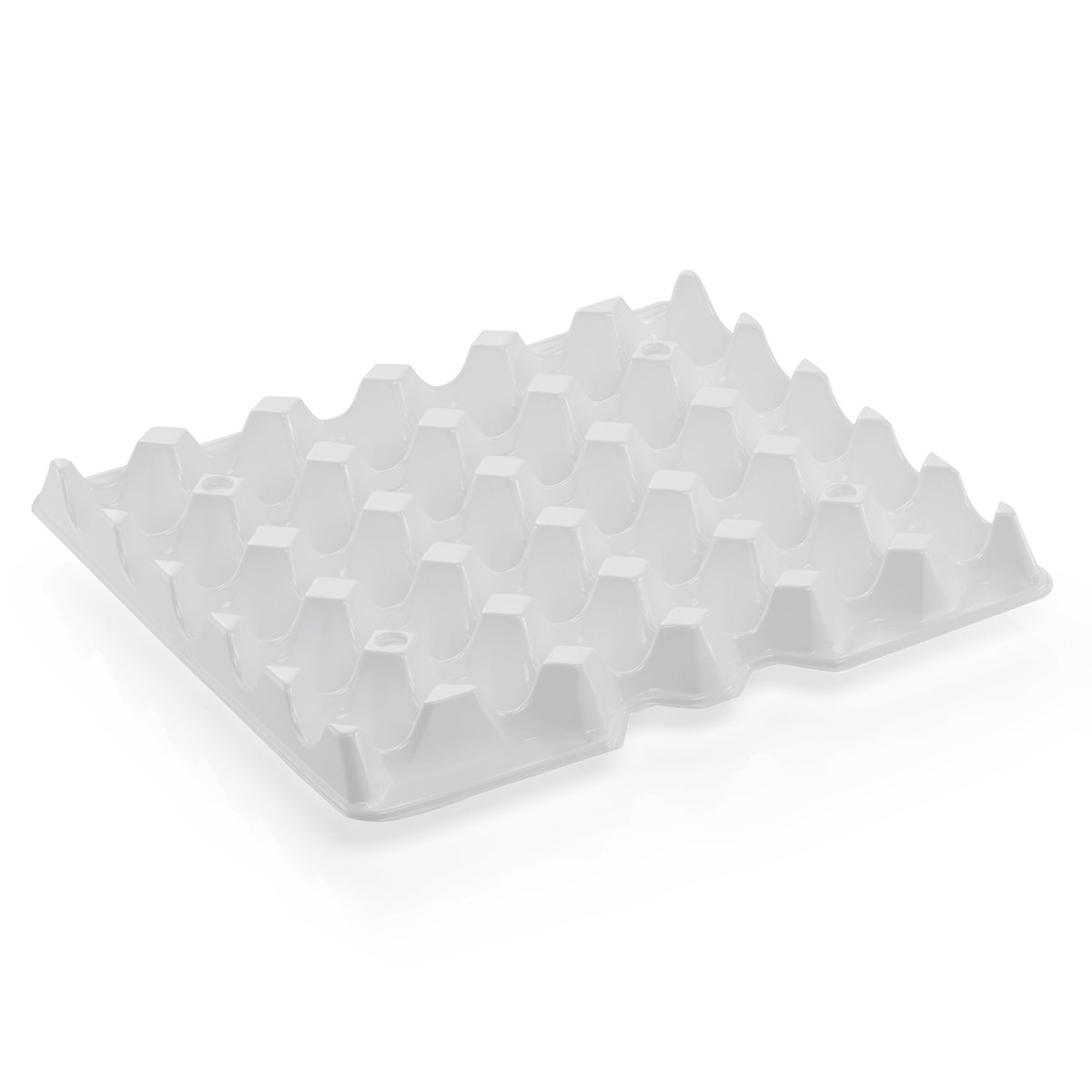 HACCP Einsatzeinlage für 8623 120 Eierbox