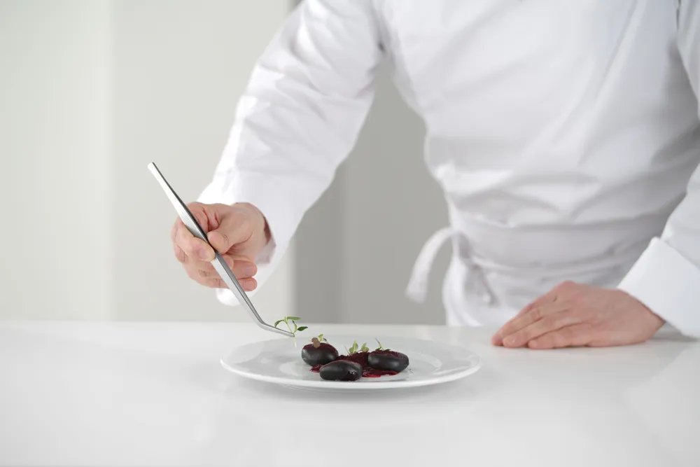 Pinzette, gebogen, (L)240mm Pinzette, gebogen, (L)240mm