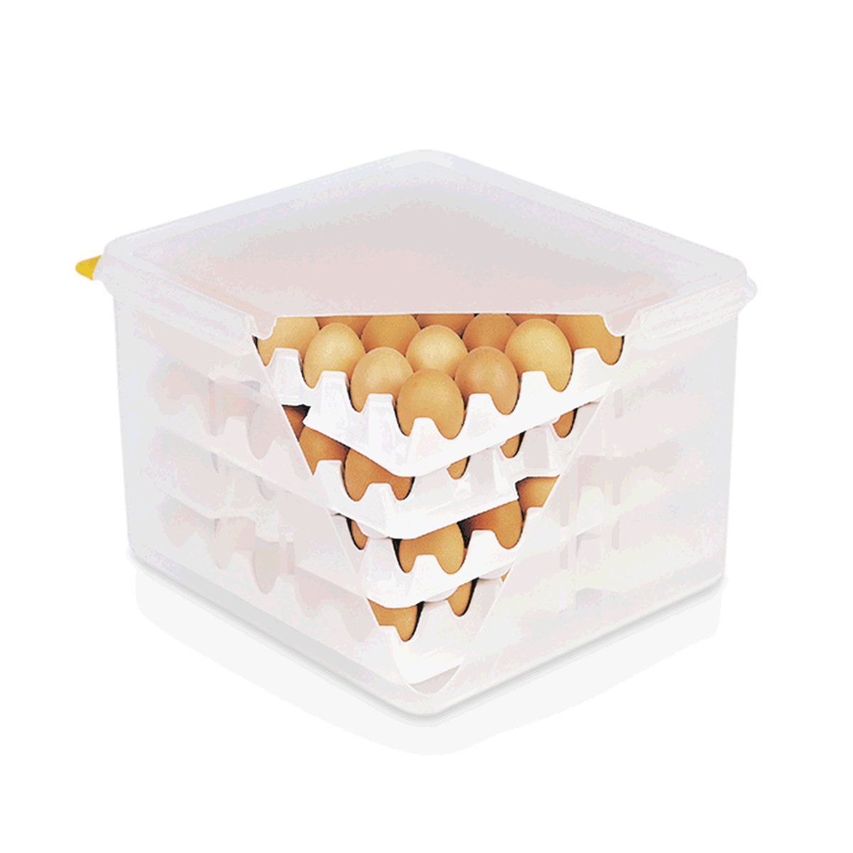 HACCP Eierbox 35,4 x 32,5 x 20 cm