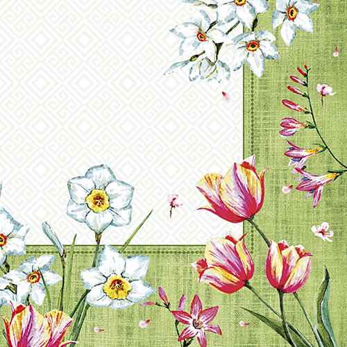 50 Servietten, 3-lagig 1/4-Falz 40 cm x 40 cm "Florentina" 14000 Servietten, 3-lagig 1/4-Falz 40 cm x 40 cm "Florentina"