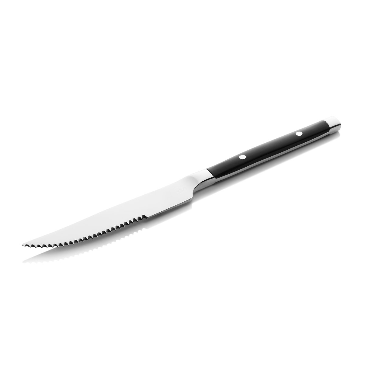 Steakmesser Set BISTRO TREND, 21 cm, mit Kunststoffgriff Steakmesser Set BISTRO TREND, 21 cm, mit Kunststoffgriff