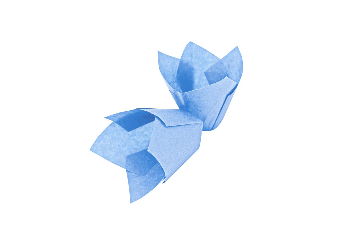 Muffinform Tulpe, blau