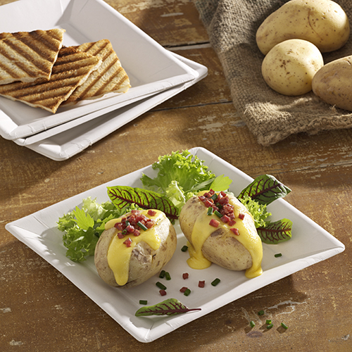 50 Teller, Pappe "pure" eckig 22,5 cm x 22,5 cm x 1,8 cm weiss 14000 Teller, Pappe "pure" eckig 22,5 cm x 22,5 cm x 1,8 cm weiss