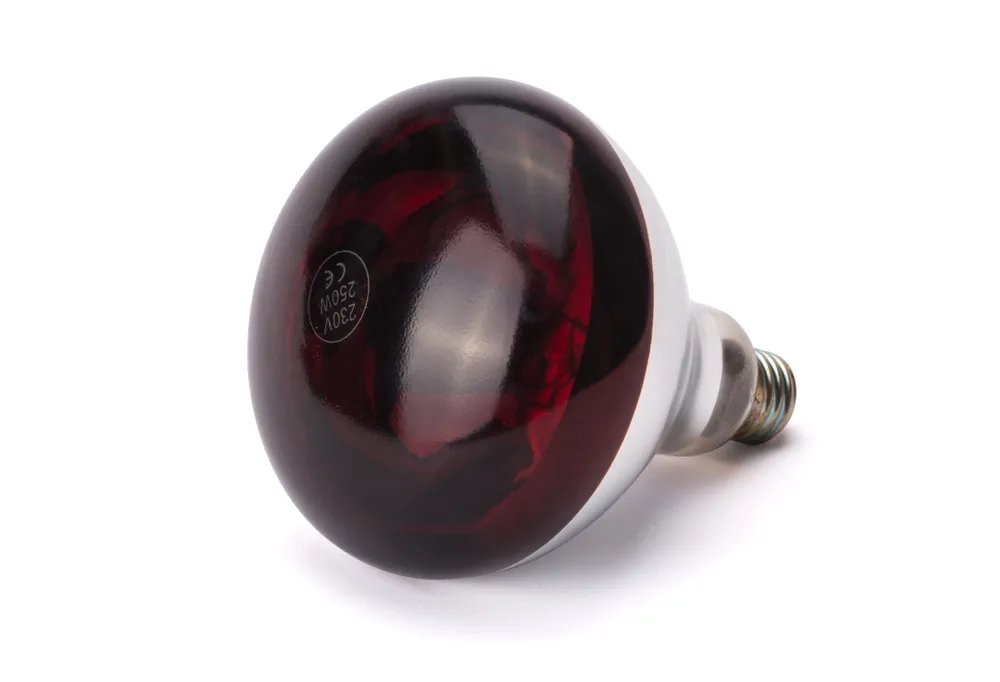 Infrarot-Glühlampe, Rot, 230V/250W, ⌀125x(H)170mm Infrarot-Glühlampe, Rot, 230V/250W, ⌀125x(H)170mm