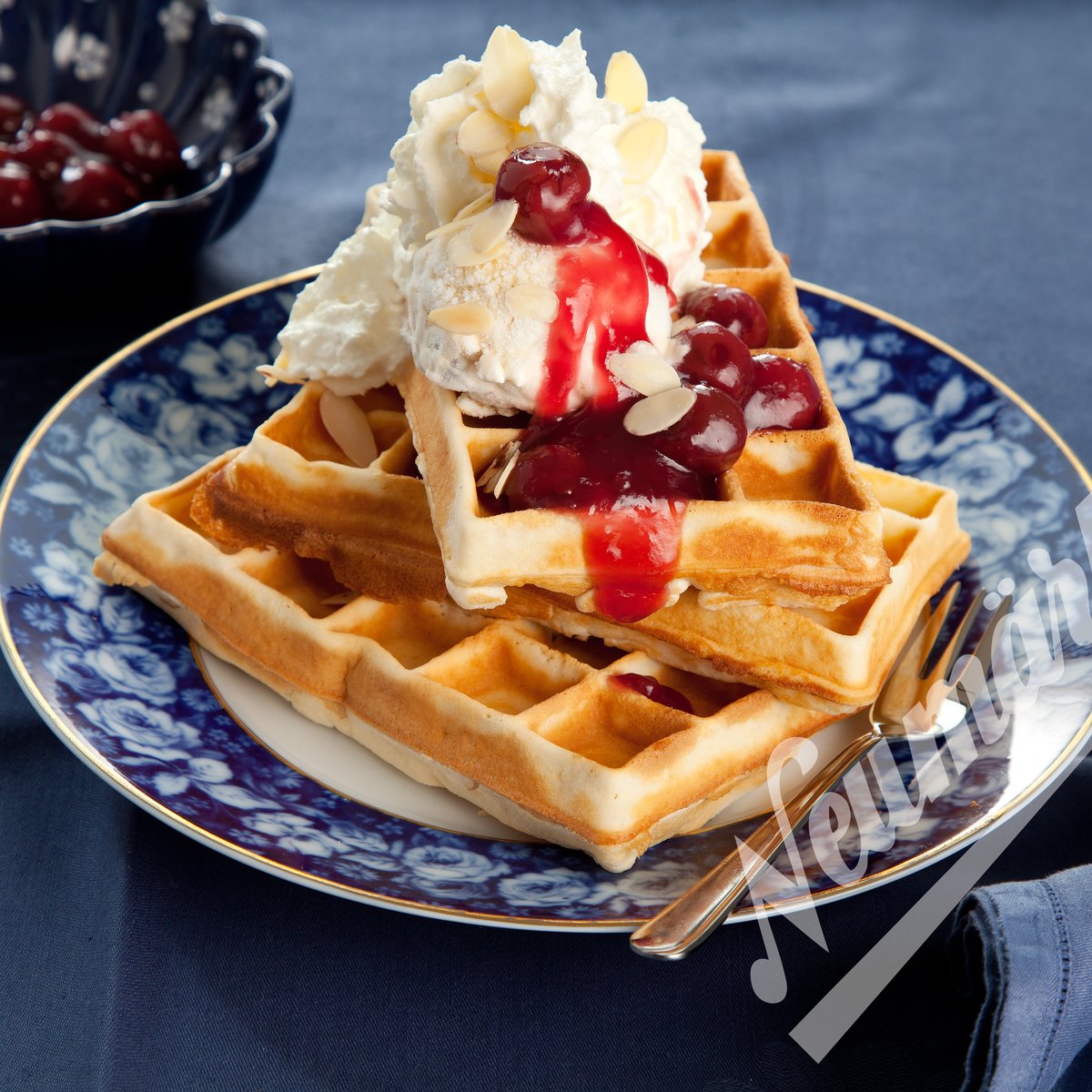 Brüsseler Waffel Backplattensatz für SWiNG-Backsystem