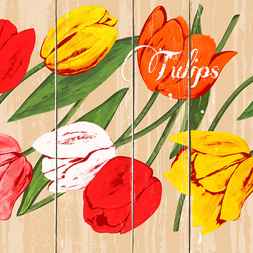 100 Servietten, 3-lagig 1/4-Falz 33 cm x 33 cm "Blooming Tulips" 25200 Servietten, 3-lagig 1/4-Falz 33 cm x 33 cm "Blooming Tulips"
