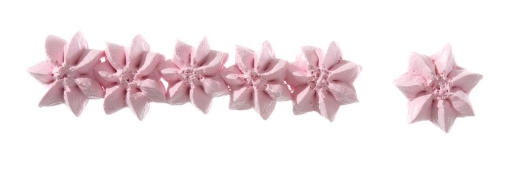 Dekorationsset zum Füllen & Dekorieren, HENDI Dekorationsset zum Füllen & Dekorieren, HENDI