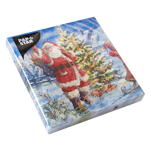 20 Servietten, 3-lagig 1/4-Falz 33 cm x 33 cm "Tomten" 21600 Servietten, 3-lagig 1/4-Falz 33 cm x 33 cm "Tomten"