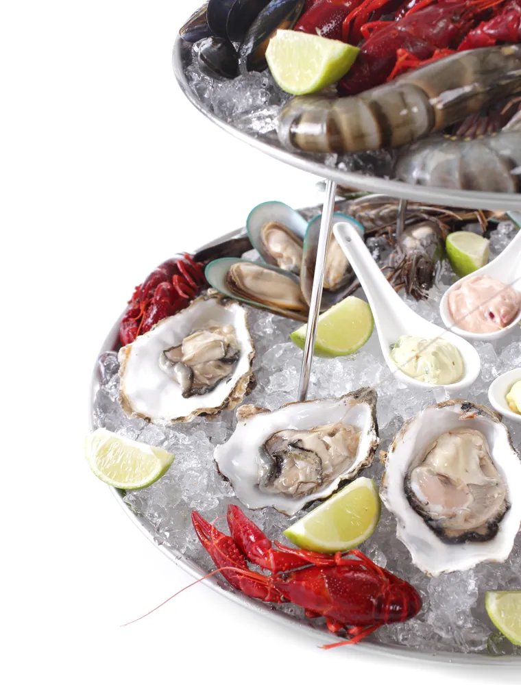 Meeresfrüchte-Präsenter, ⌀400x(H)200mm Meeresfrüchte-Präsenter, ⌀400x(H)200mm