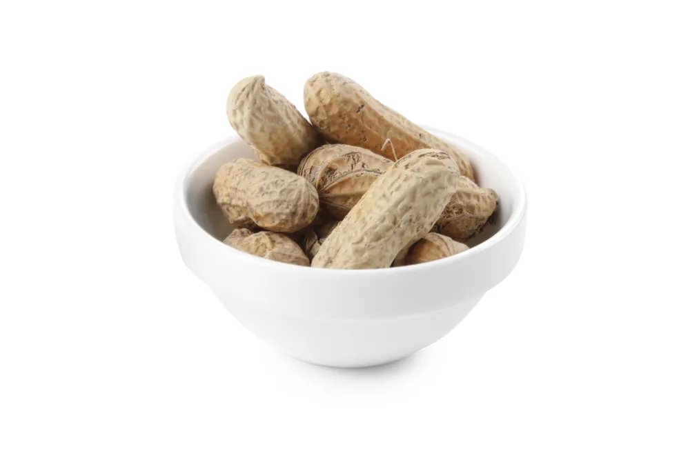 Tapasschälchen Redondo - 6 Stk., 6 Stk., ⌀75x(H)30mm