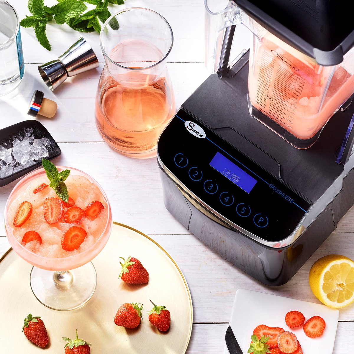 Santos Brushless Blender #62 Santos Brushless Blender #62