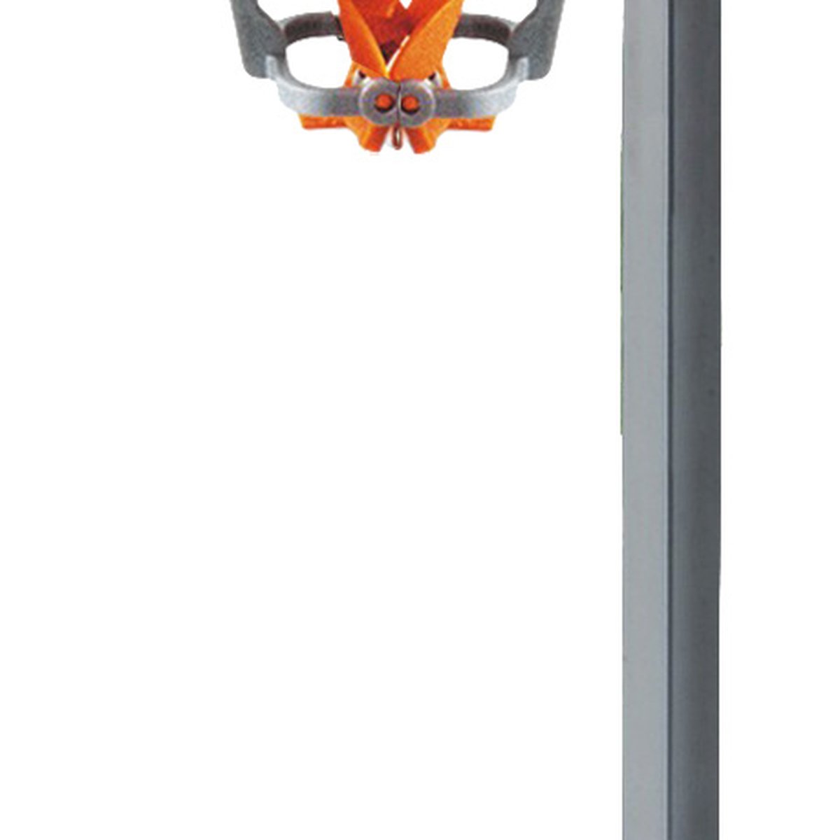 Schäler für kleine Karotten