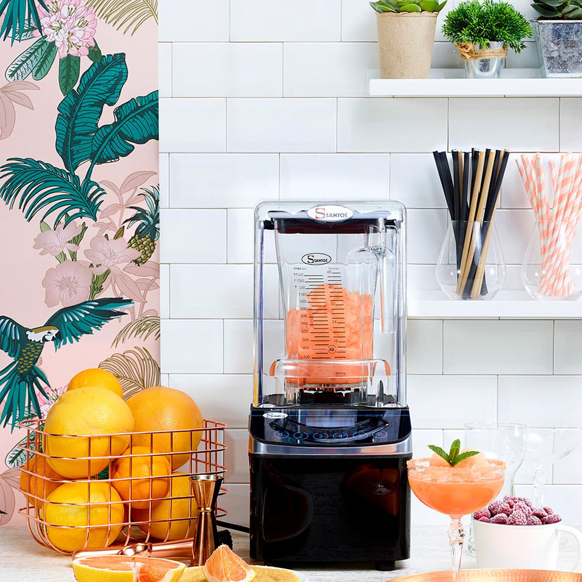 Santos Brushless Blender #62 Santos Brushless Blender #62