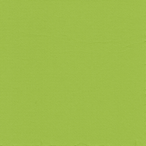 540 Servietten, 2-lagig "PUNTO" 1/4-Falz 38 cm x 38 cm apfelgrün mikrogeprägt 10800 Servietten, 2-lagig "PUNTO" 1/4-Falz 38 cm x 38 cm apfelgrün mikrogeprägt