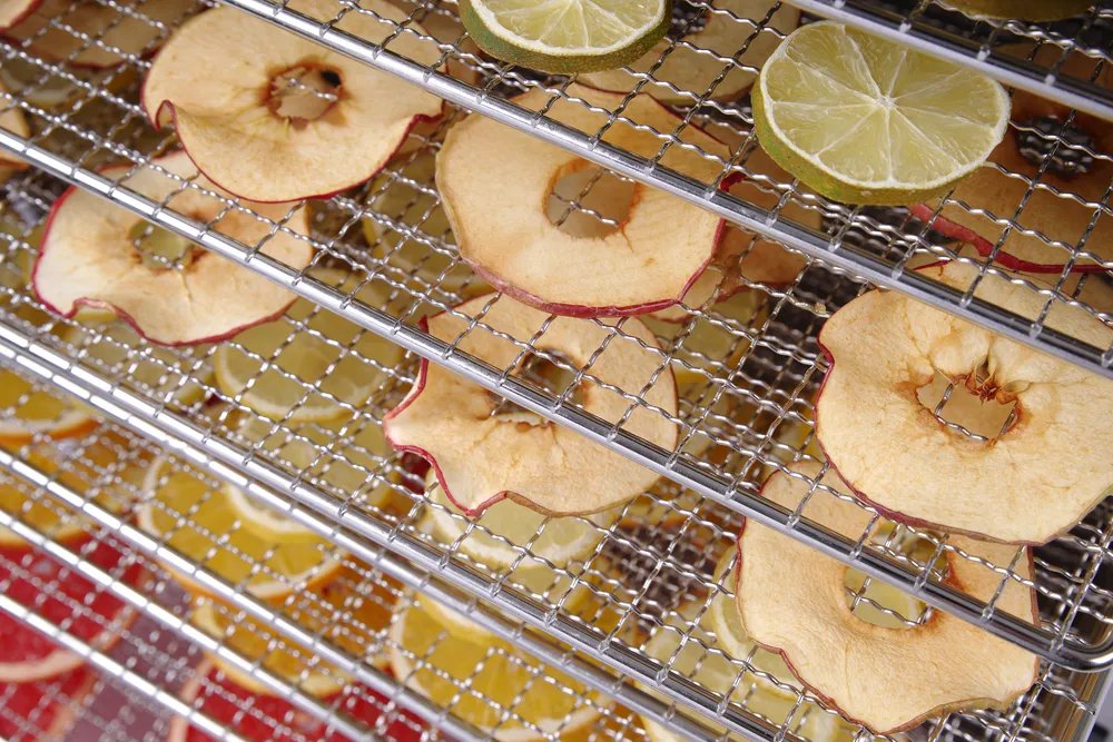 Dörrgerät Profi Line, Profi Line, 10 Bleche, 230V/1000W, 430x550x(H)416mm