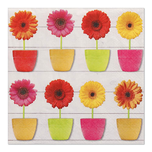 22800 Servietten, 3-lagig 1/4-Falz 33 cm x 33 cm "Glowing Gerberas"
