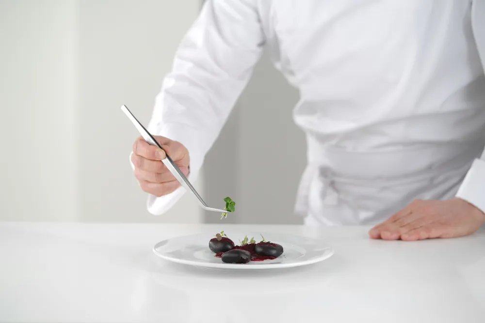 Pinzette, gebogen, (L)240mm