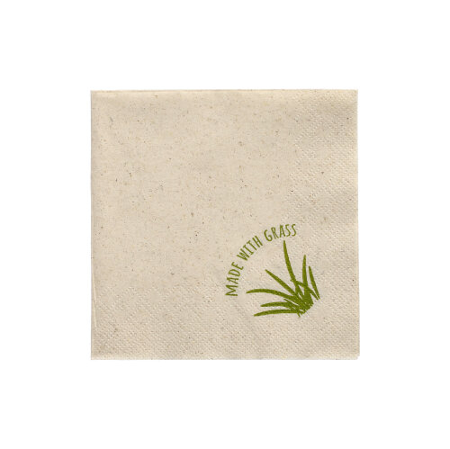 48000 Servietten, 2-lagig 1/4-Falz 24 cm x 24 cm natur mit Grasanteil