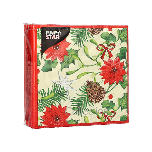 600 Servietten, 3-lagig 1/4-Falz 25 cm x 25 cm "Winterly" 33600 Servietten, 3-lagig 1/4-Falz 25 cm x 25 cm "Winterly"