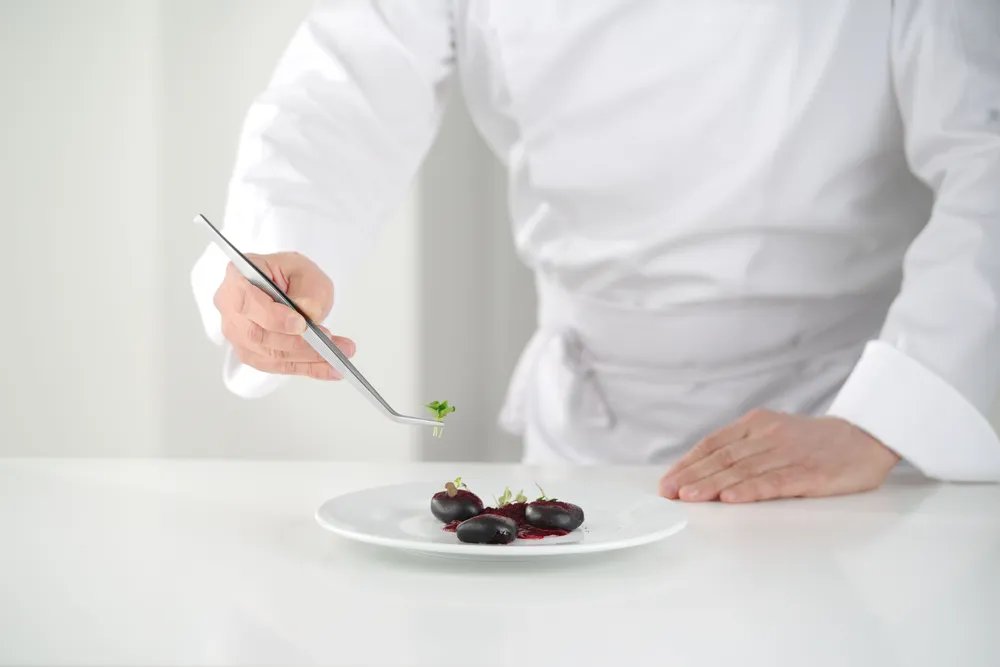 Pinzette, gebogen, (L)240mm Pinzette, gebogen, (L)240mm