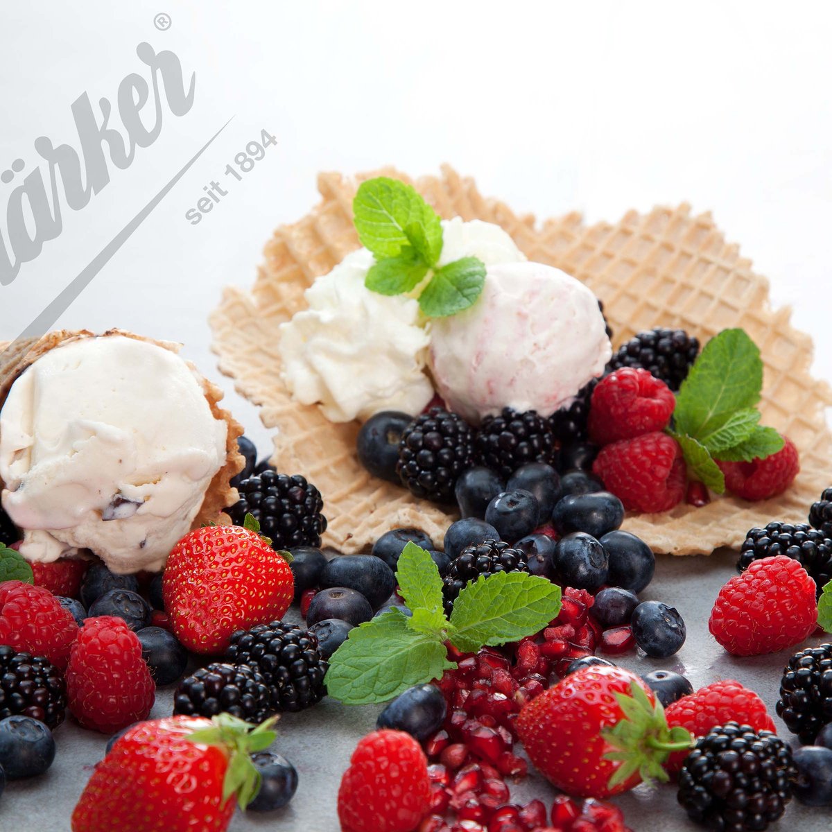 Eiswaffel Wechselplatten für Thermocook® Eiswaffel Wechselplatten für Thermocook®