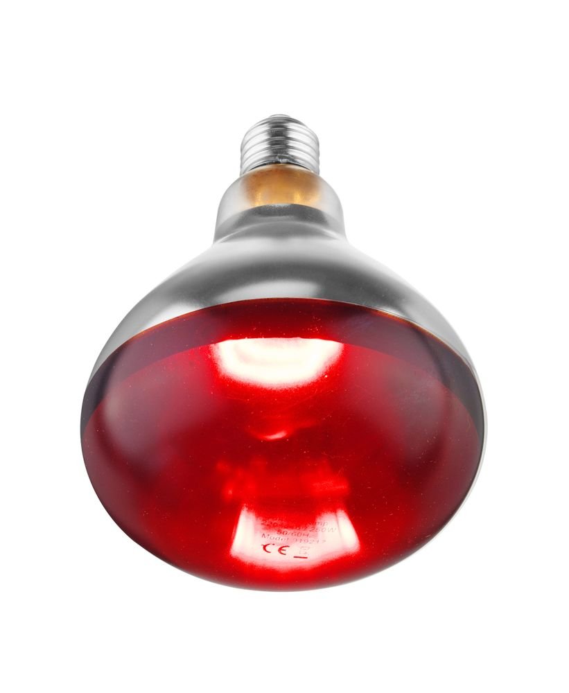 Infrarot-Glühlampe, HENDI, Rot, 230V/250W, ⌀125x(H)170mm