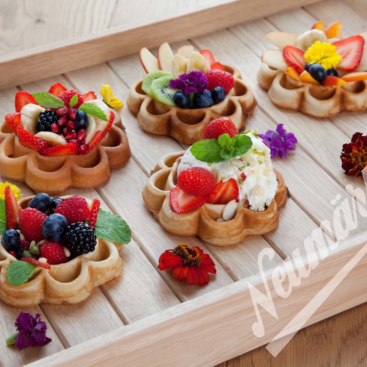 Waffeltörtchen Wechselplatten für Thermocook®