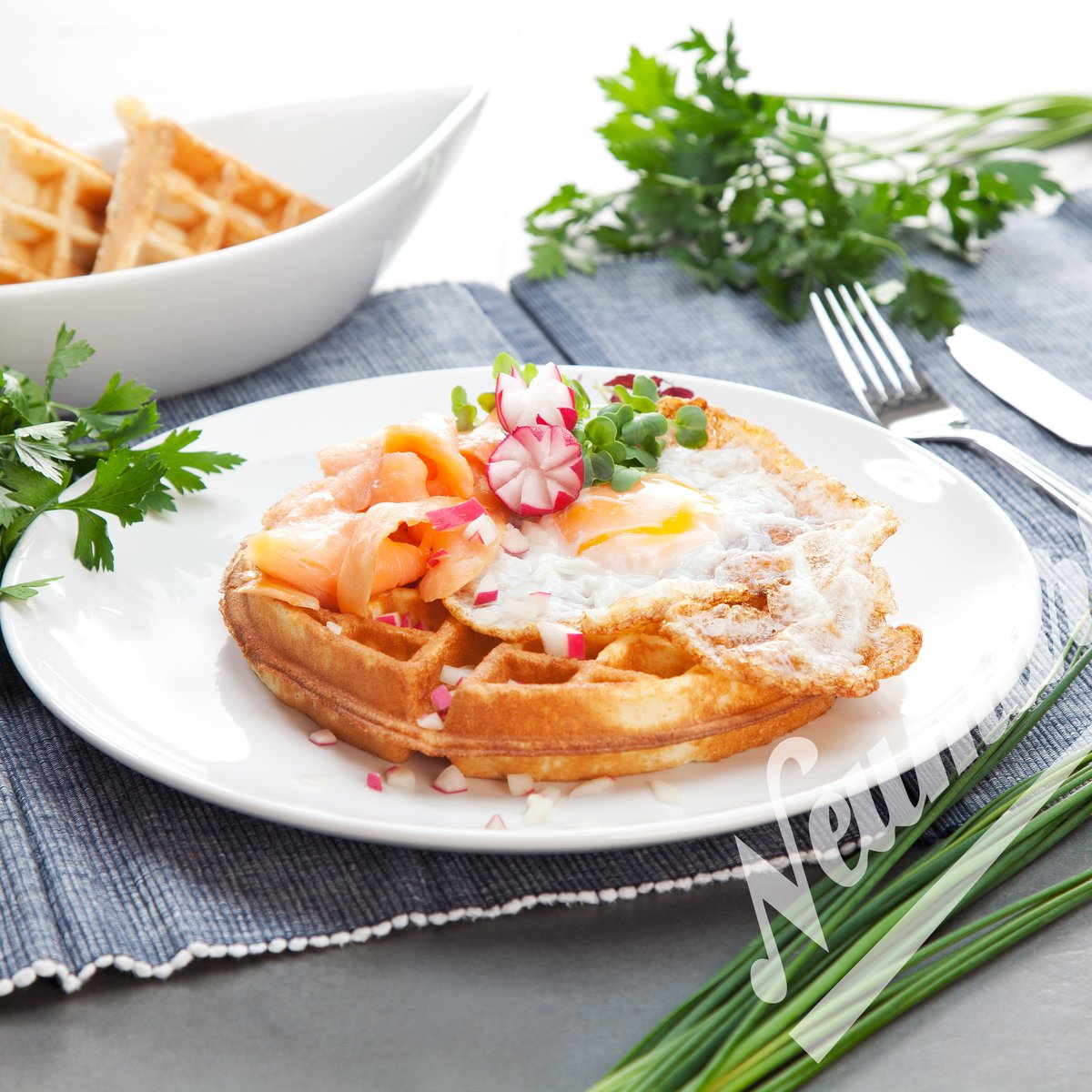 Americano Backplattensatz für Helios Vertikal-Backsystem Americano Backplattensatz für Helios Vertikal-Backsystem