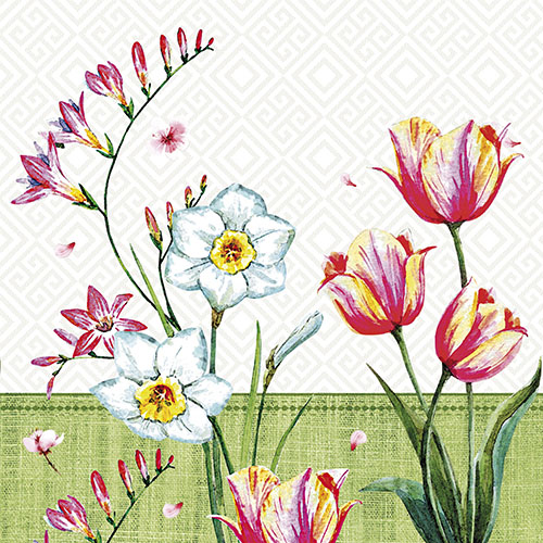 25200 Servietten, 3-lagig 1/4-Falz 33 cm x 33 cm "Florentina"