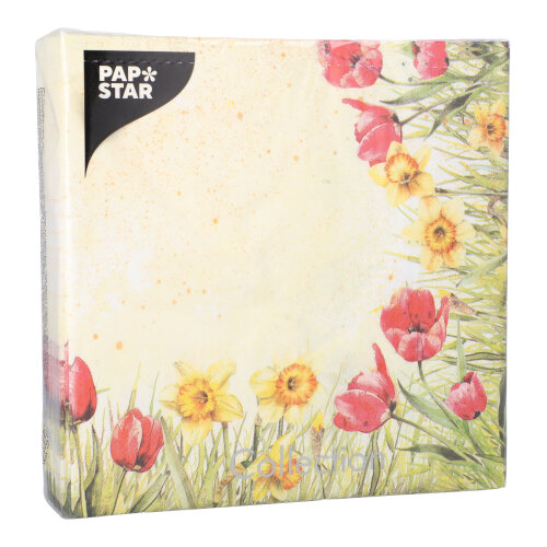 478000 Servietten, 3-lagig 1/4-Falz 40 cm x 40 cm "Tulips & Daffodils"