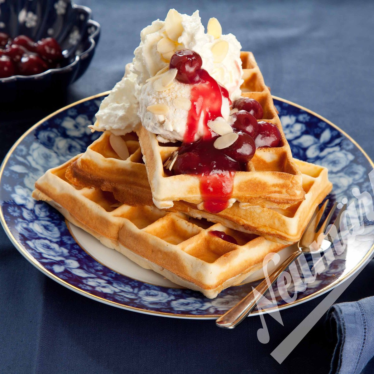 Brüsseler Waffel Wechselplatten für Thermocook® Brüsseler Waffel Wechselplatten für Thermocook®