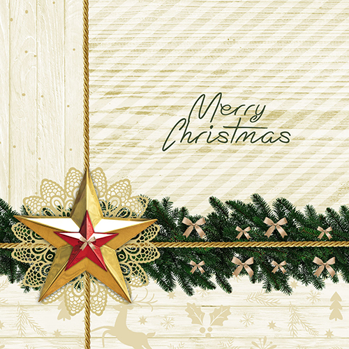 33600 Servietten, 3-lagig 1/4-Falz 25 cm x 25 cm "Golden Star"