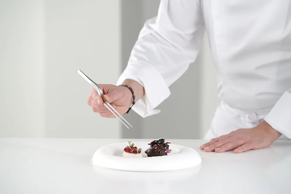 Pinzette, gekröpft, (L)210mm Pinzette, gekröpft, (L)210mm