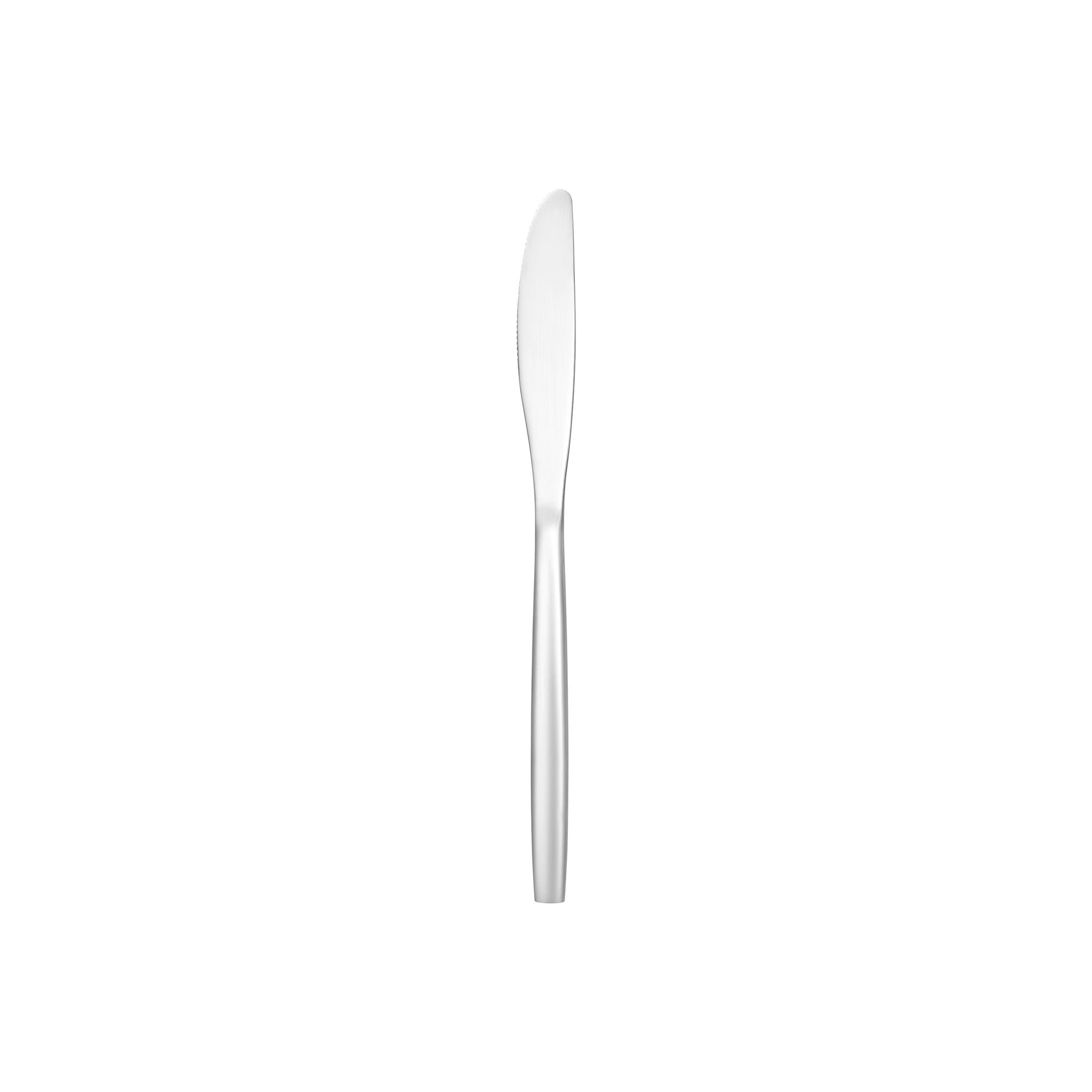 Menümesser (L) 21 cm, Serie NP80, Chromstahl
