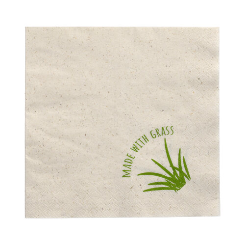 30000 Servietten, 2-lagig 1/4-Falz 33 cm x 33 cm natur mit Grasanteil